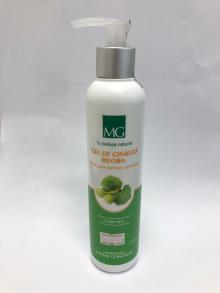 MG GEL GINKGO BILOBA 220ml